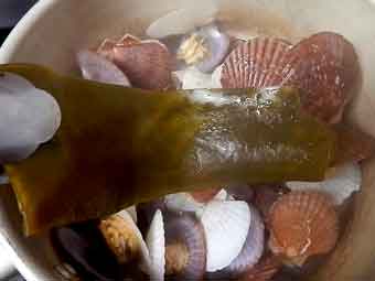 帆立稚貝（ベビーホタテ）の味噌汁に使った昆布