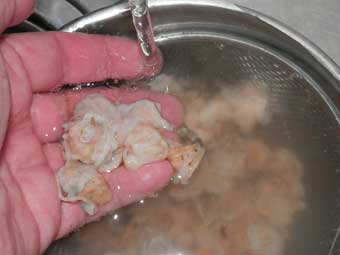 帆立稚貝（ベビーホタテ）を洗う