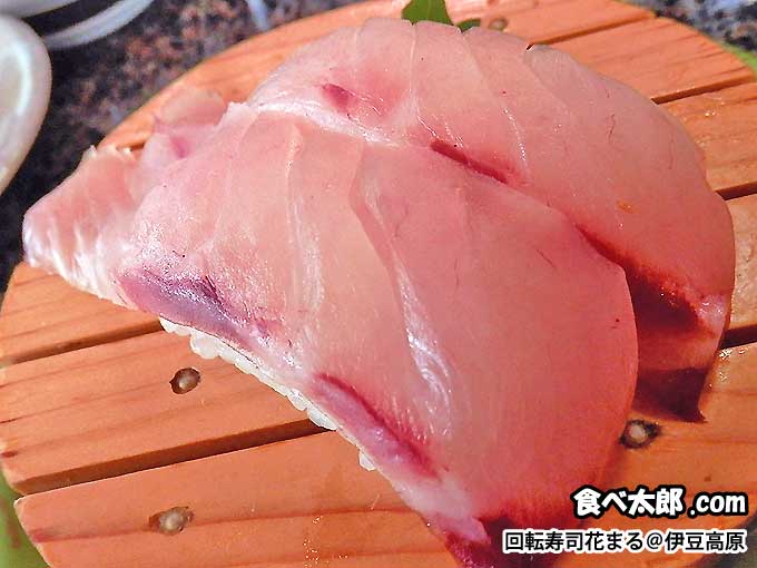 伊豆高原の回転寿司花まる銀彩の尾長鯛の握り