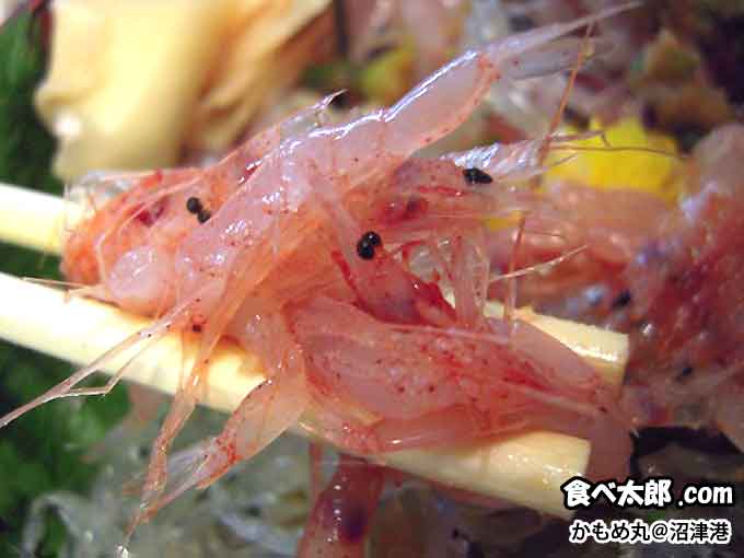静岡県の沼津漁港にあるかもめ丸のぬまづ丼の生桜海老