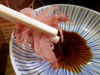 静岡駅近くの居酒屋、しぞ～か酒場の生桜海老を実食