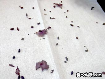 赤紫蘇を食べた虫の糞