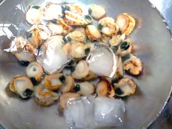 帆立稚貝を冷凍前に氷水につける