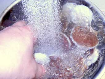 八宝菜に使う帆立稚貝を洗う
