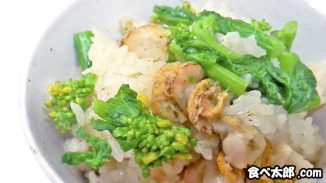 帆立稚貝と菜の花の炊き込みご飯