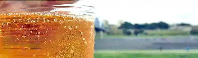 「屋外でビール」by食べ太郎.com