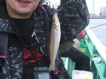 東京湾でシロギス釣り