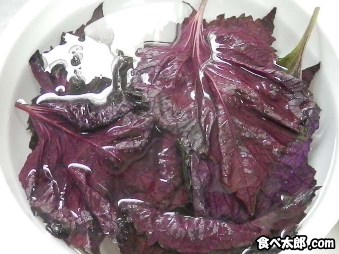 梅干し作りに使う赤紫蘇