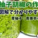 柚子胡椒の作り方