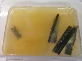 柚子胡椒で余った柚子でゆずぽん作り